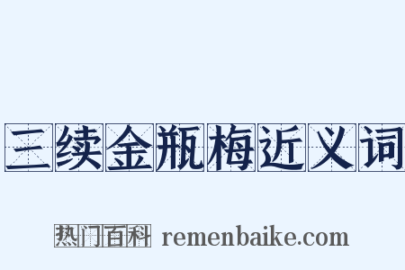 三续金瓶梅近义词是什么意思的图片